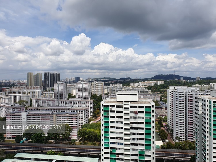 Blk 416 Clementi Avenue 1 (Clementi), HDB 4 Rooms #196548872
